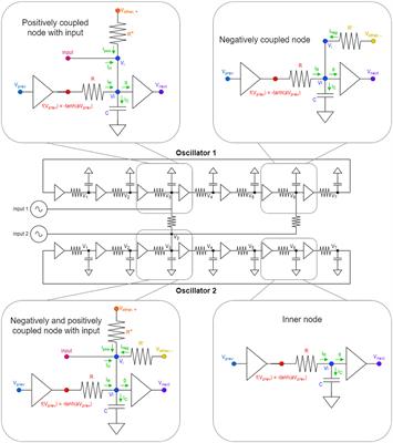 Design of oscillatory neural networks by machine learning